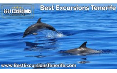 Premium Sailing Boat (6 Hours)